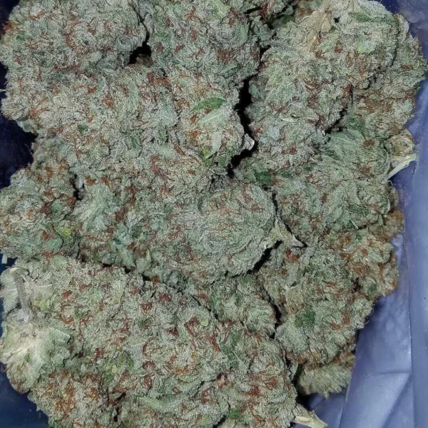 Buy Amnesia Haze Strain online Australia