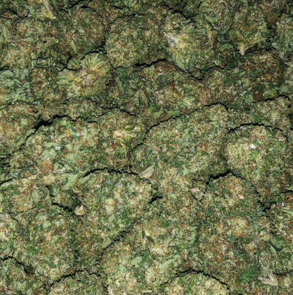 Buy Critical Kush Strain online Australia