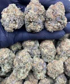 Blue Gelato