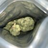 Buy Weed Aussie-Doja Strain