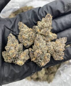 Grape Pixie Stix Strain