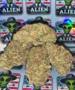 Alien Miracle Cookies