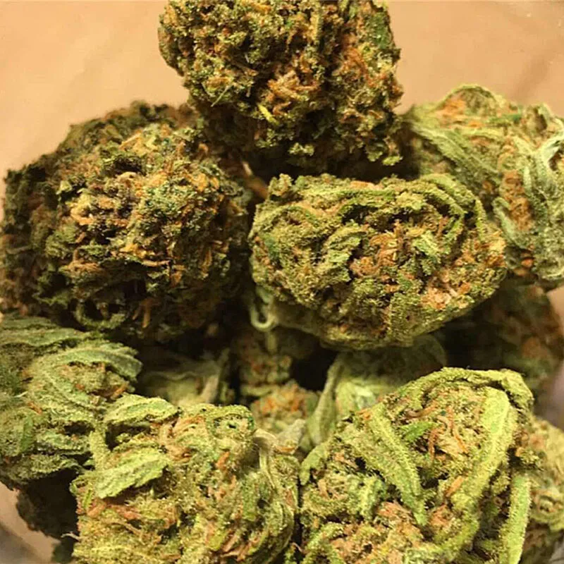 Buy Weed Online – Afghan Kush Cannabis Strain 15%THC