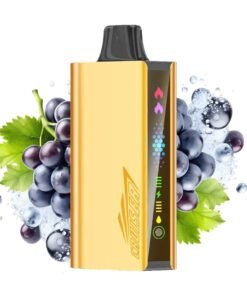 JNR Cruiser vape 12000 Grape Ice