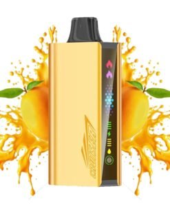 JNR Cruiser vape 12000 Mango Magic